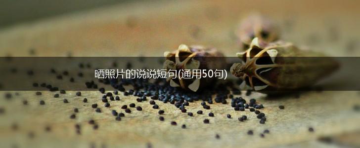 晒照片的说说短句(通用50句),第1张