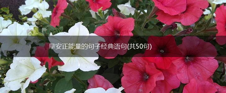 早安正能量的句子经典语句(共50句),第1张