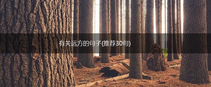 有关远方的句子(推荐30句),第1张