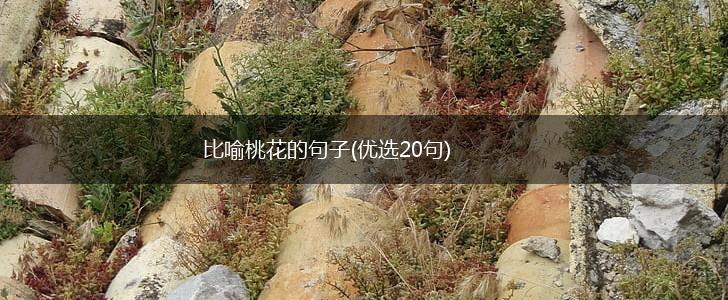 比喻桃花的句子(优选20句),第1张