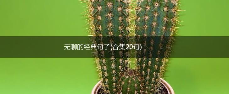 无聊的经典句子(合集20句),第1张