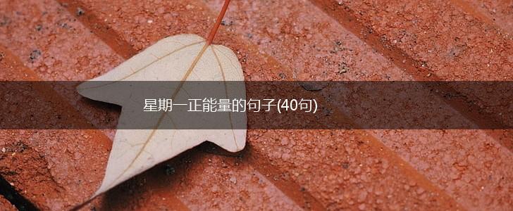 星期一正能量的句子(40句),第1张