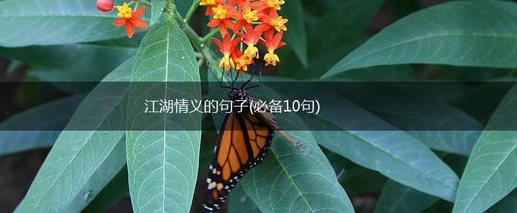 江湖情义的句子(必备10句),第1张