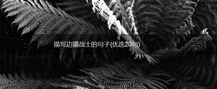 描写边疆战士的句子(优选20句),第1张