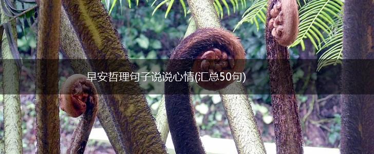 早安哲理句子说说心情(汇总50句),第1张