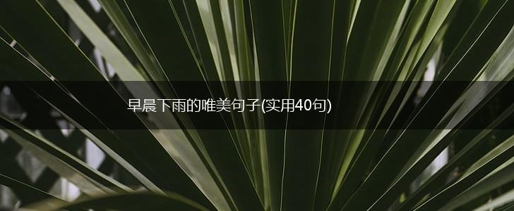 早晨下雨的唯美句子(实用40句),第1张