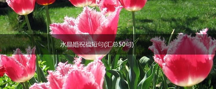 水晶婚祝福短句(汇总50句),第1张