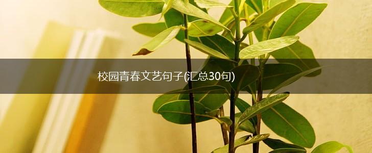 校园青春文艺句子(汇总30句),第1张
