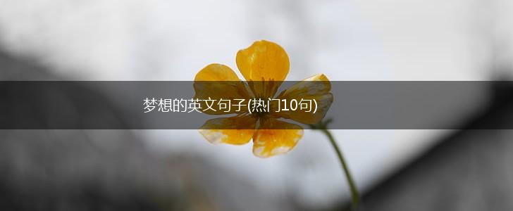 梦想的英文句子(热门10句),第1张