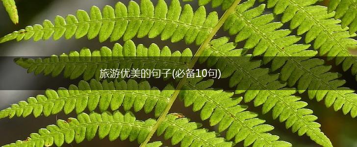 旅游优美的句子(必备10句),第1张