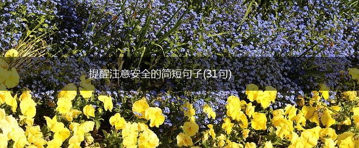 提醒注意安全的简短句子(31句),第1张