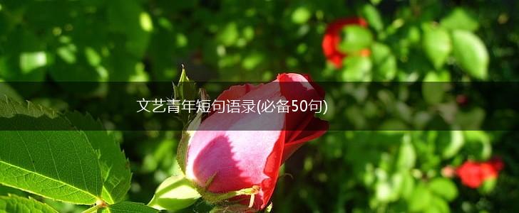 文艺青年短句语录(必备50句),第1张