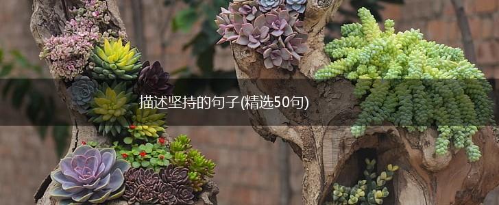 描述坚持的句子(精选50句),第1张 描述坚持的句子(精选50句),第1张