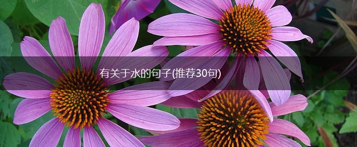 有关于水的句子(推荐30句),第1张