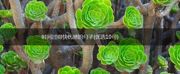 时间过得快伤感的句子(优选10句),第1张
