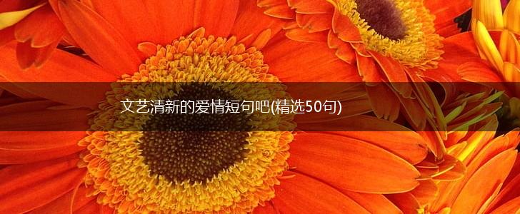 文艺清新的爱情短句吧(精选50句),第1张
