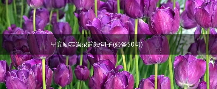 早安励志语录简短句子(必备50句),第1张