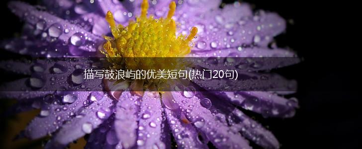 描写鼓浪屿的优美短句(热门20句),第1张