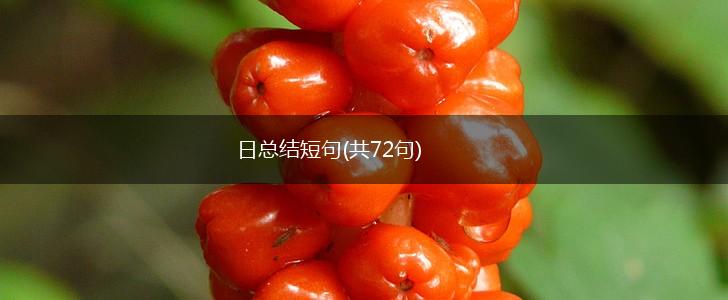 日总结短句(共72句),第1张