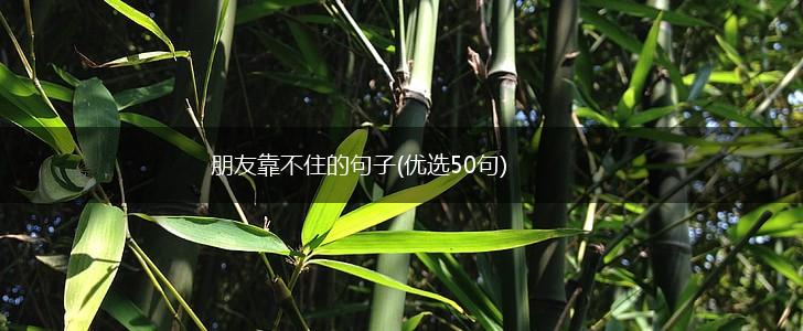 朋友靠不住的句子(优选50句),第1张