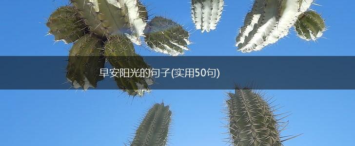 早安阳光的句子(实用50句),第1张