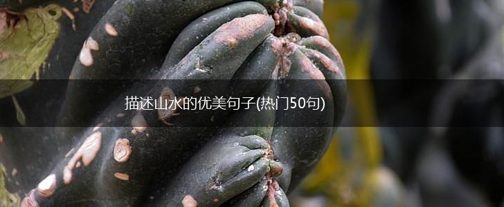 描述山水的优美句子(热门50句),第1张
