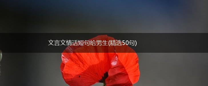 文言文情话短句给男生(精选50句),第1张