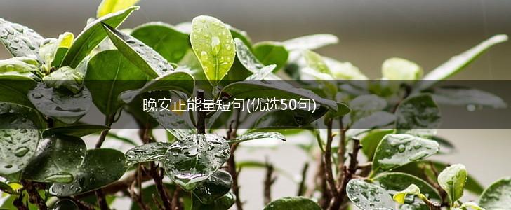 晚安正能量短句(优选50句),第1张
