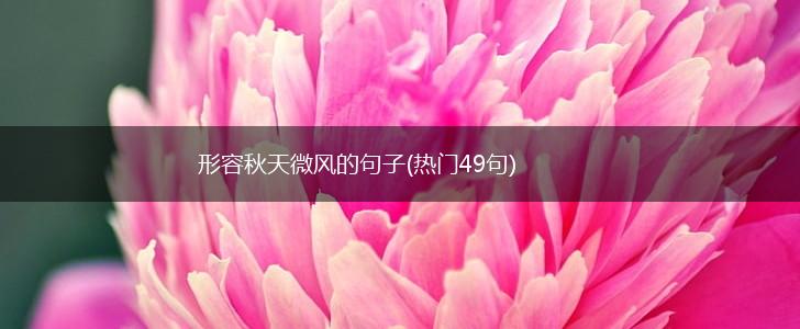 形容秋天微风的句子(热门49句),第1张