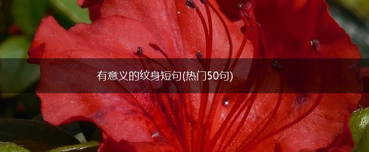 有意义的纹身短句(热门50句),第1张