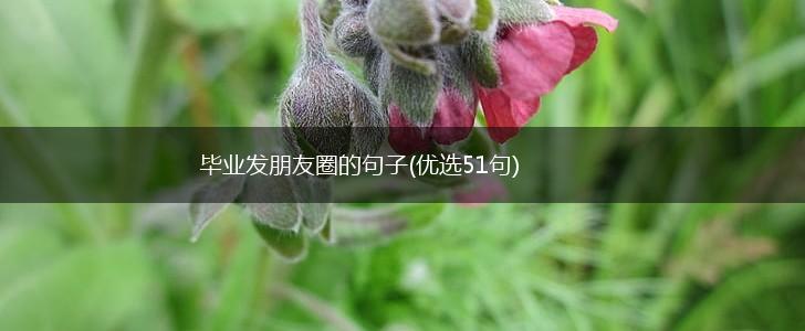 毕业发朋友圈的句子(优选51句),第1张