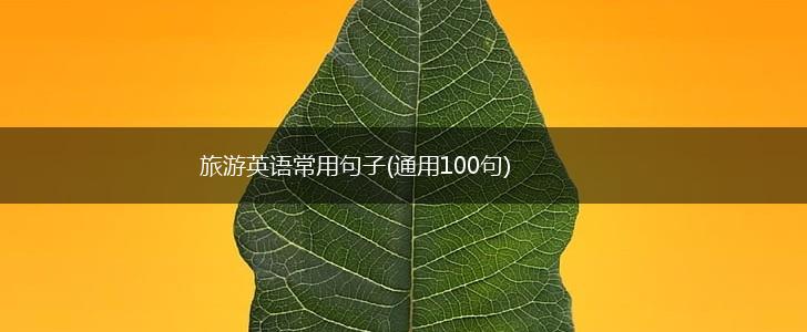 旅游英语常用句子(通用100句),第1张