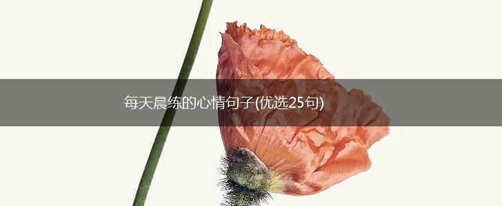 每天晨练的心情句子(优选25句),第1张
