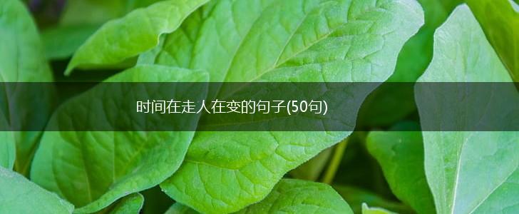 时间在走人在变的句子(50句),第1张