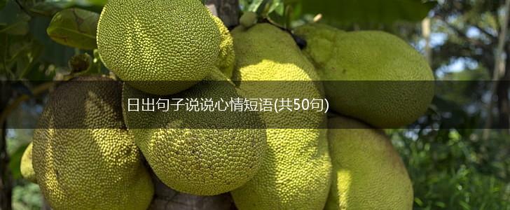 日出句子说说心情短语(共50句),第1张