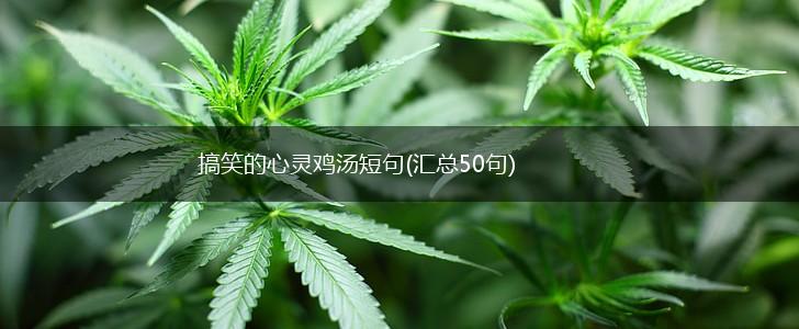 搞笑的心灵鸡汤短句(汇总50句),第1张