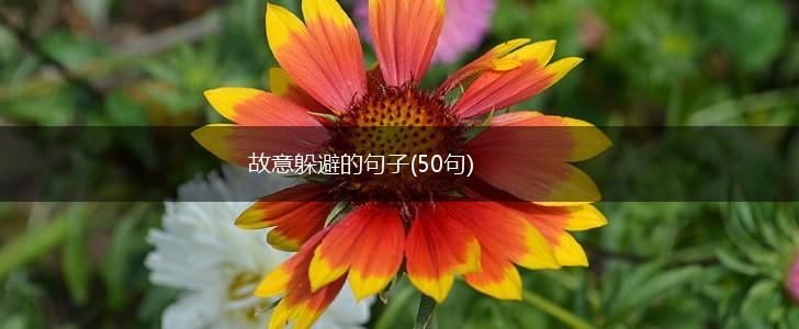 故意躲避的句子(50句),第1张