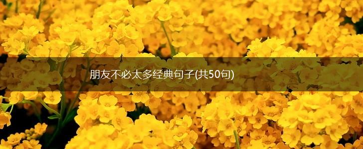 朋友不必太多经典句子(共50句),第1张