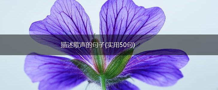 描述歌声的句子(实用50句),第1张