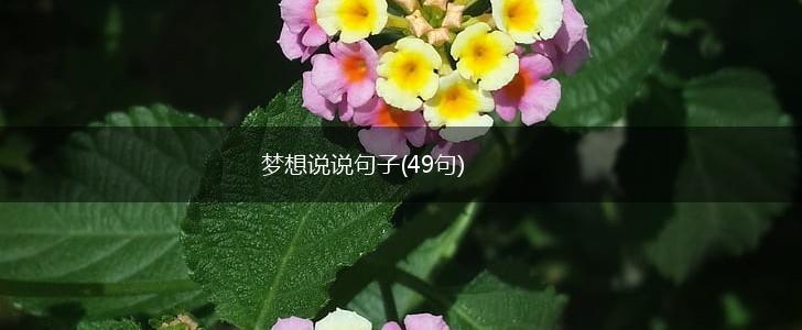梦想说说句子(49句),第1张