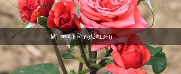 描写黑熊的句子(优选13句),第1张 描写黑熊的句子(优选13句),第1张