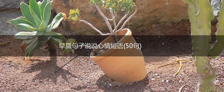 早晨句子说说心情短语(50句),第1张