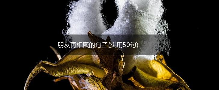 朋友再相聚的句子(实用50句),第1张