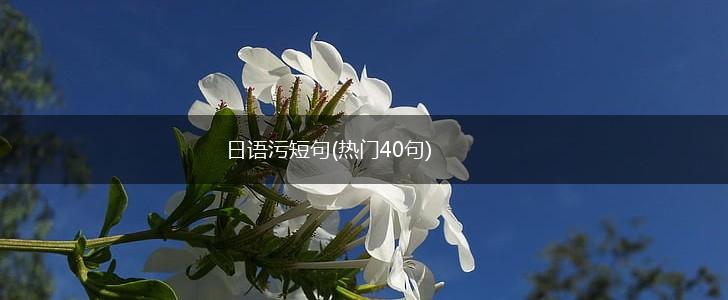 日语污短句(热门40句),第1张