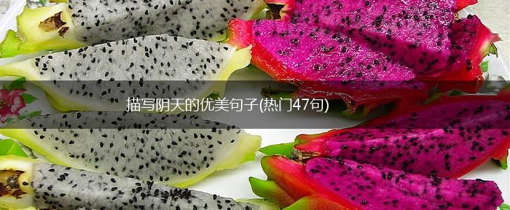 描写阴天的优美句子(热门47句),第1张