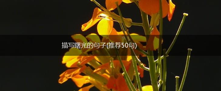 描写曙光的句子(推荐50句),第1张