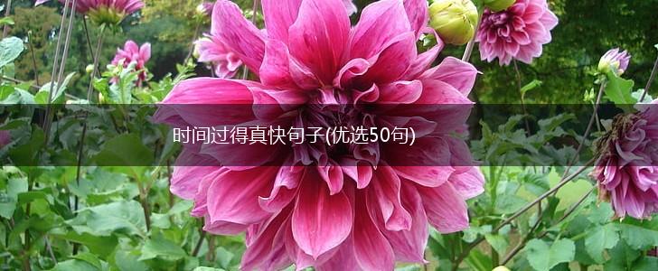时间过得真快句子(优选50句),第1张