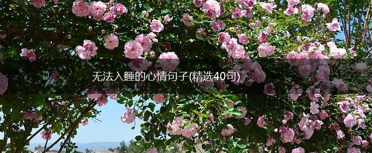 无法入睡的心情句子(精选40句),第1张