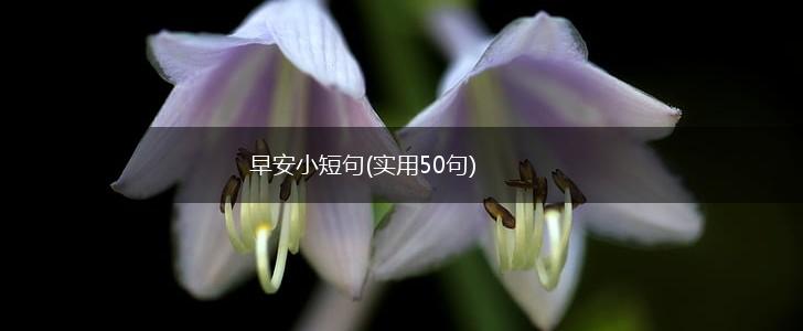 早安小短句(实用50句),第1张