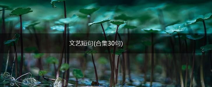 文艺短句(合集30句),第1张
